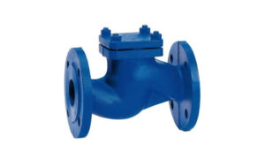 Lift Type Non Return Valve