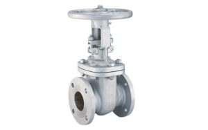 Cast Steel Gate Valve
