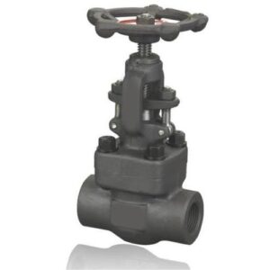 Forge Steel Globe Valve