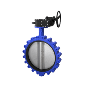 Lug Type Butterfly Valve